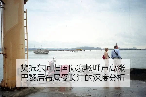 樊振东回归国际赛场呼声高涨 巴黎后布局受关注的深度分析