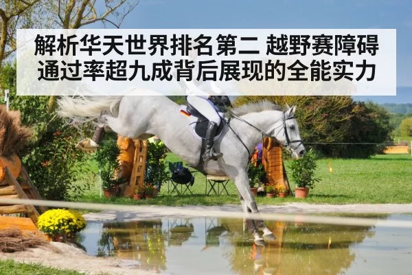 解析华天世界排名第二 越野赛障碍通过率超九成背后展现的全能实力