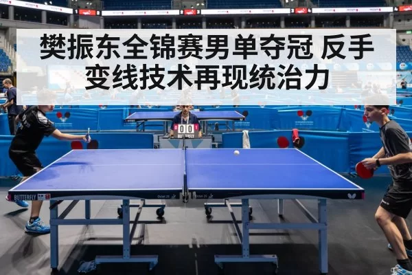 樊振东全锦赛男单夺冠 反手变线技术再现统治力